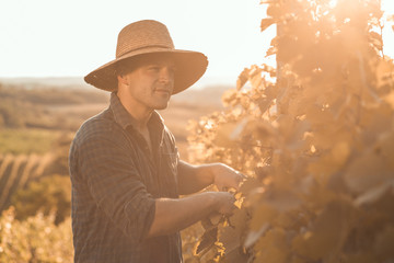 Farmer with hat working and posing in his vineyard