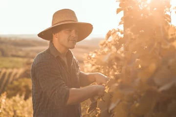 Papier Peint photo Vignoble Farmer with hat working and posing in his vineyard