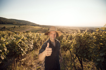 Vineyard Success - farmer gives you thumb up
