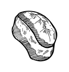 hand drawn sushi roll