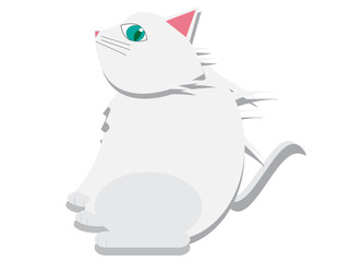 こっちを見てる白猫