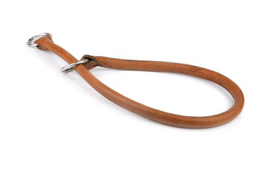 Obraz premium Collar and Leash