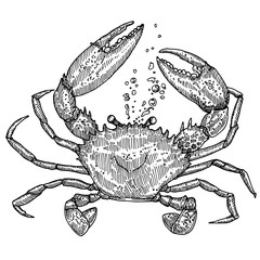 big crab