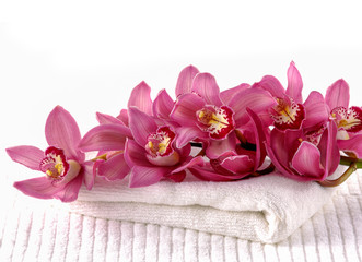 beautiful pink orchid on spa towel