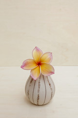 Sweet flower vase background