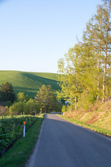 夕日に陰る農道