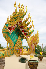 Fototapeta premium 2 colors King of Nagas vertical