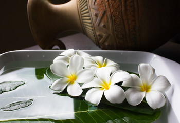 Obraz na płótnie Canvas Plumeria flower decorated with green leaf floated on water in white tray with old vintage baked clay vase and dark corner background