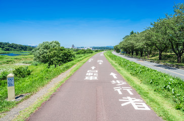 Fototapeta na wymiar 多摩川　サイクリングロード