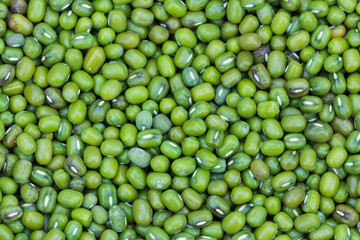 Green bean or mung bean background