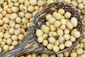 Close up soy bean in wooden spoon