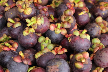 fresh mangosteens