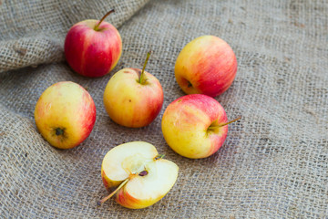 apples