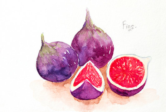 figs'watercolor painted