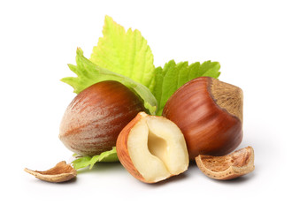 Forest nuts hazelnuts