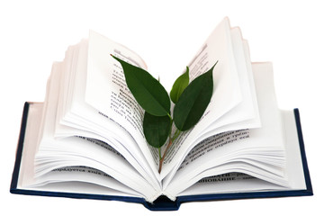 Книга источник знаний