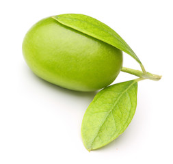 Green olives with leaves