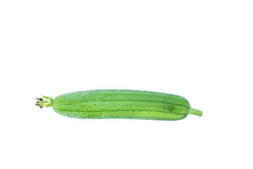 Sponge Gourd