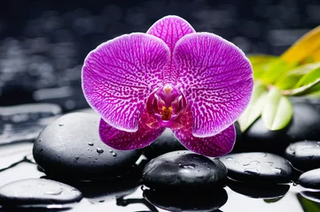 Gordijnen tranquil spa scene-pink orchid with black stones © Mee Ting