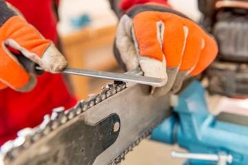 Sharpening a chainsaw
Close up on a man sharpening a chainsaw chain with file.