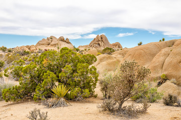 Jumbo Rocks formation in the Joshua Tree N.P.