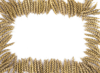 Frame background ears of wheat