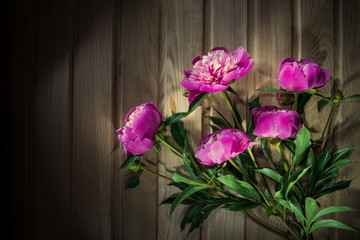 Fototapeta na wymiar Colorful flowers on wooden backgroung - colorful peonies