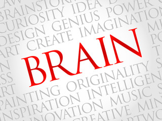 Brain word cloud, business concept