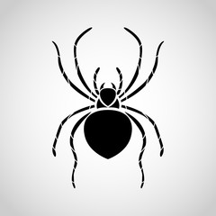 spider logo