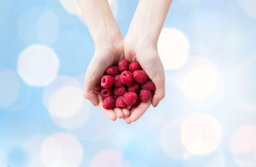 close up of woman hands holding raspberries