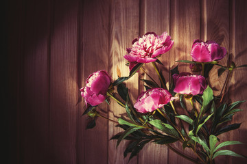 Colorful flowers on wooden backgroung - colorful peonies