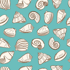 sea shells background