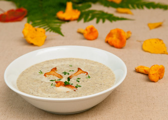 mushrooms soup