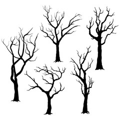 Tree Silhouettes