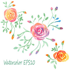 Watercolor flowers set. Vector roses. hand-drawn illustration