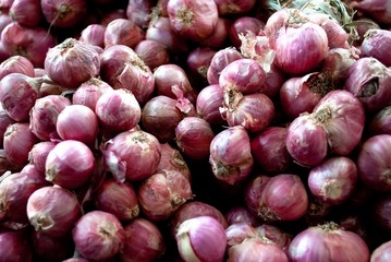 Pile of Red Onions
