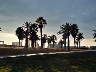 Obraz premium Barcelona