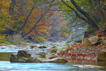 mountain river at autumn time
