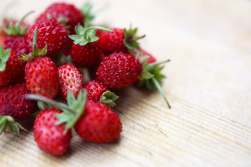 Wild strawberry 