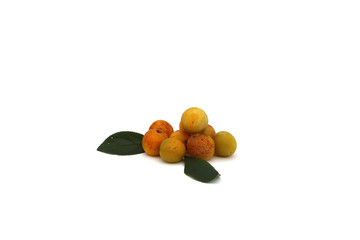 Prunes