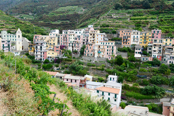 The village of Manarola on Cinque Terre