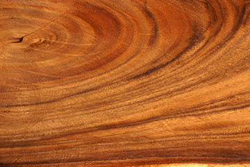 Surface of the tree are used in industrial applications.