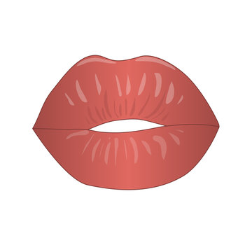 Vector  lips on the isolated background