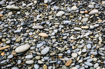 Pebbles at Olympic National Park