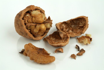 Walnut