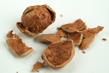 Hazelnut