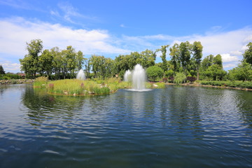 Fototapety na wymiar - Fototapeta24.pl