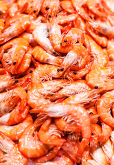  Unshelled tiger shrimps as gourmet seafood macro. Group of Shri