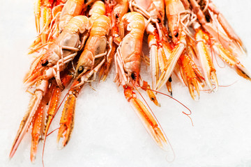 Shrimp cocktail background over white Ice on a market stall clos