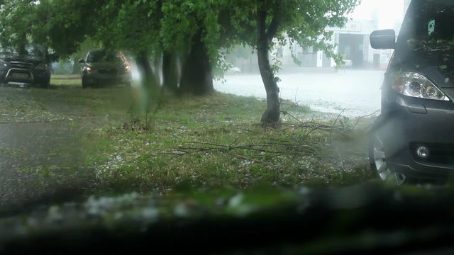 Cars Stopped Under a Tree Waiting When Stop Large Hail.